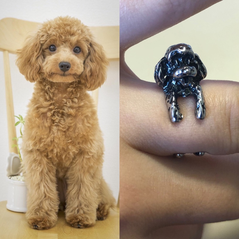 Adorable Poodle Dog Ring